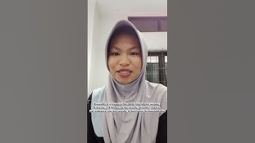 Assignment 11 Understanding Semantics. Introduction to linguistics