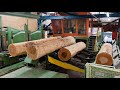 Amazing Modern Sawmill Processing Line Working. Extreme Fastest Woodworking Machinery in the Factory