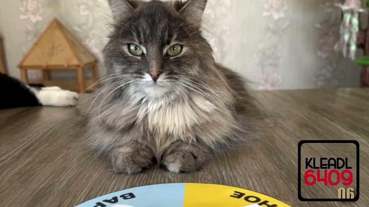 YTPMV  Meet my son hecker jr Scan