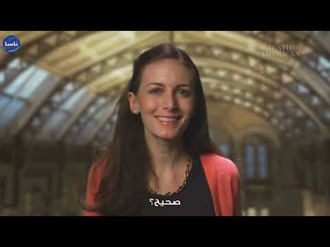 من كان السلف الأول للبشر؟
