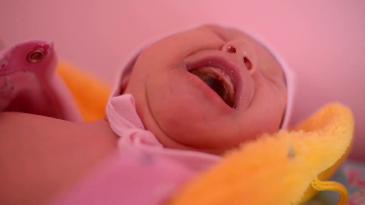 D’Addario Humiditrak Bluetooth Humidity and Temperature