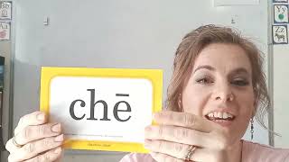 Blends for Phonics Special Sounds Chart 8 (short and long vowel sounds)