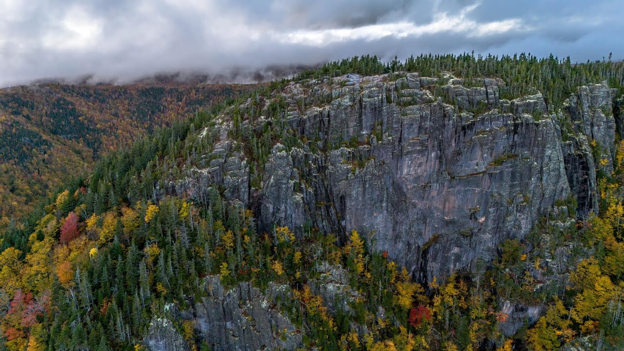 NorEast Woods and Waters showcasing  Cape Breton Celtic Colors