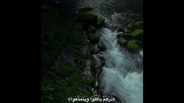 آجــر لي ولـكـم (الحمدلله) 🖤🌙 #القارئ #قرآن #شهر_رمضان