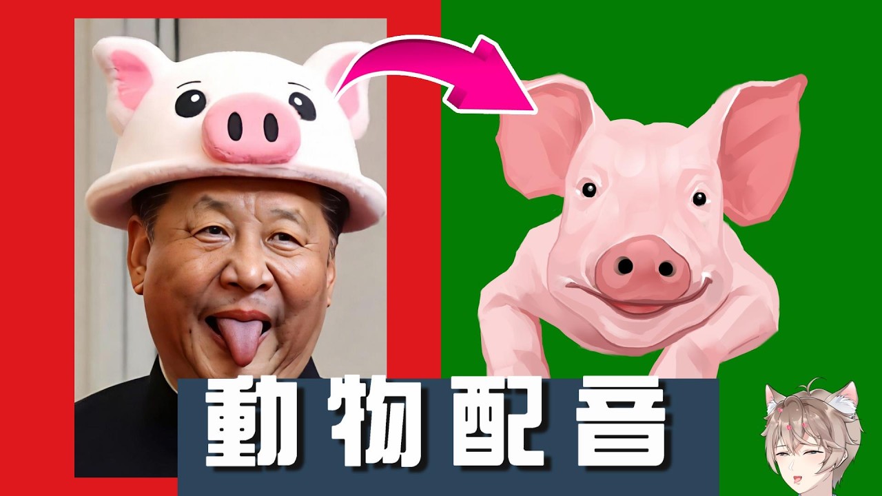 【李聽】動物配音💕「幫中國習近平配音→豬頭🐽」會不會羞辱豬🥵My Voice Zoo