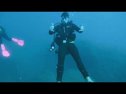Scuba diving at Baix de Cols Spain🦞