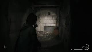 Alan wake 2  ps5
