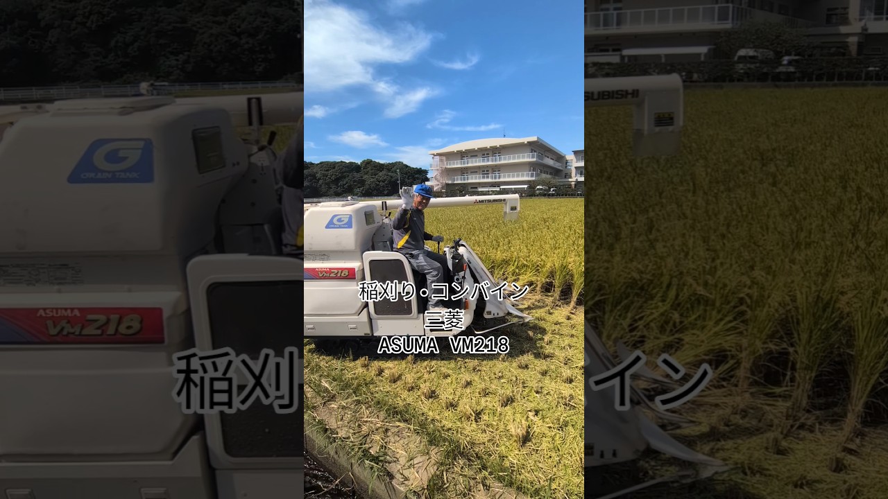 稲刈り コンバイン三菱ASUMA VM218名子の田んぼ - YouTube