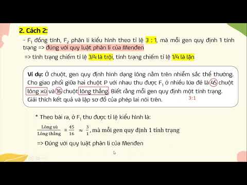 Video LAI MỘT CẶP TÍNH TRẠNG - TÌM TÍNH TRẠNG TRỘI LẶN - youtube