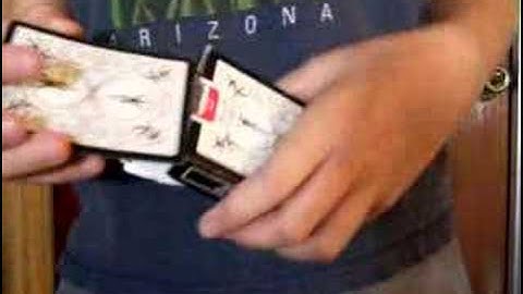 Double Transposition