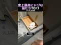 史上最高にドジな猫たちTOP7のサムネイル