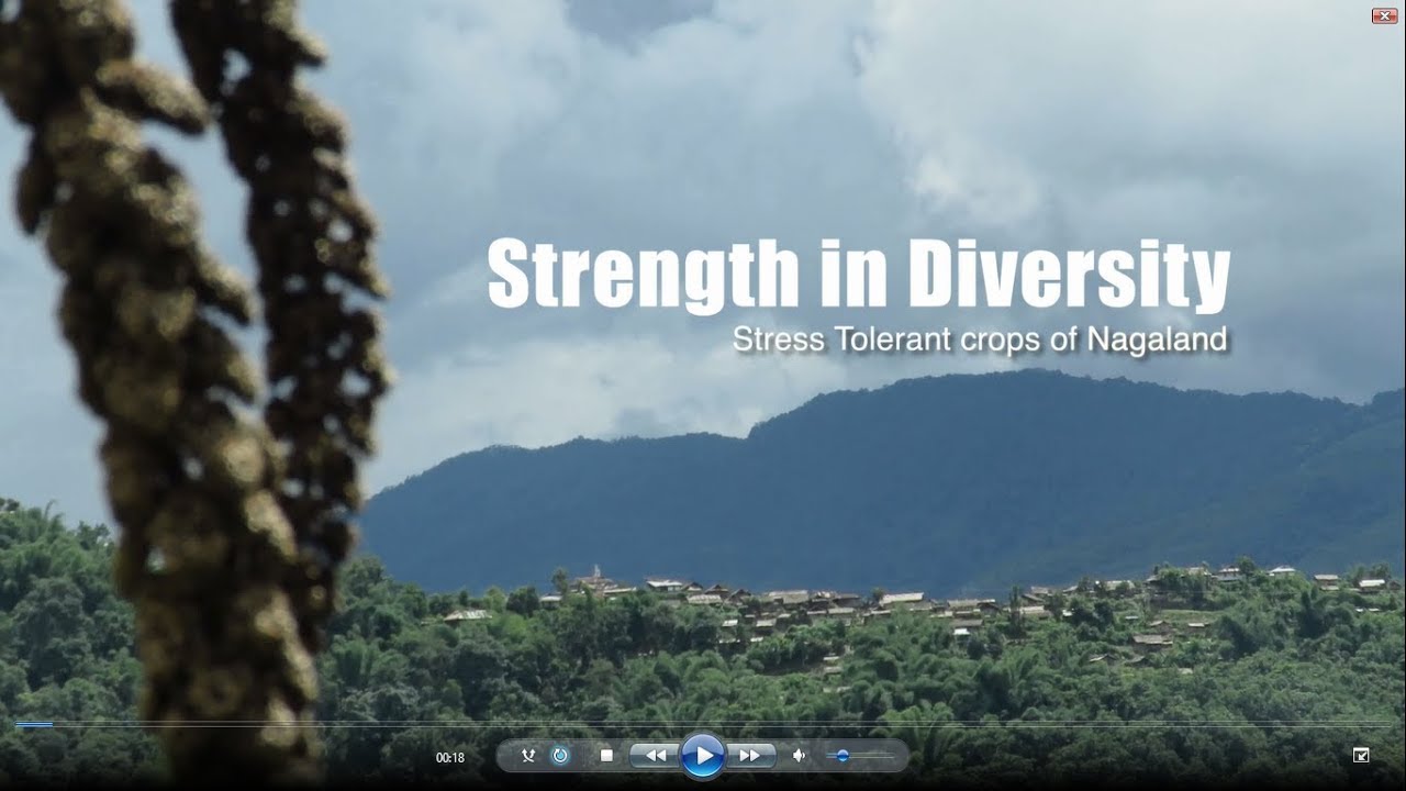 Strength In Diversity, Stress Tolerant Crops of Nagaland