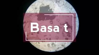 Basalt in thin section under microscope