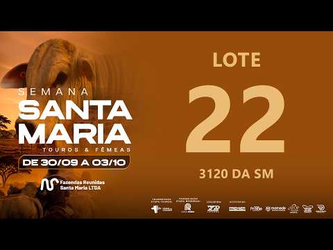 LOTE 22 FSM A3120