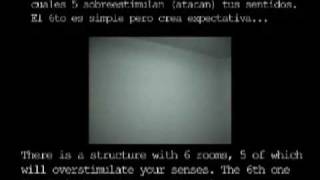 Stultifera Navis: La Nave de los Locos/The Fool's Ship