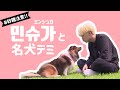 【BTS】わんこにデレデレなユンギさん（日本語字幕）