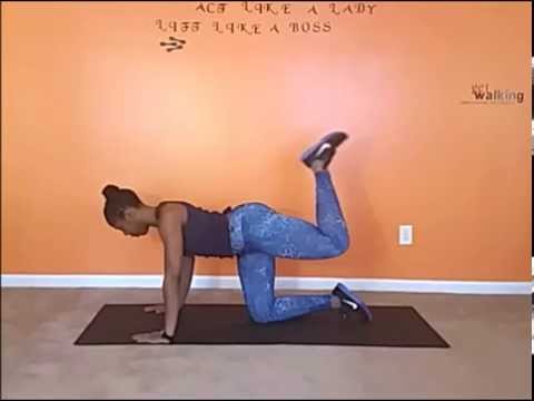 Quadruped Hamstring Curl | Plank Hamstring Curl