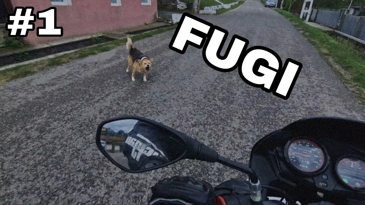 DUAL MOTOVLOG #1 - NE AU ATACAT CAINII