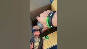 🐍Wet Specimen🧪 #molinarosnakelab #shorts #vultureculture #oddity #snake #python #babysnakehatching