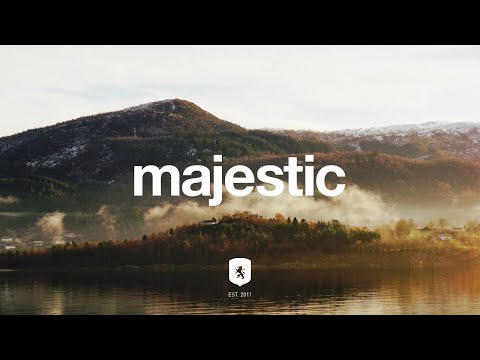 Catching Flies - Komorebi