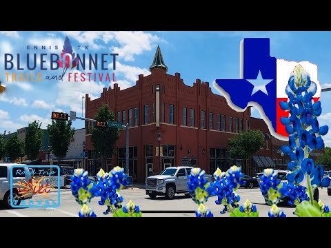 Video: Essen Rehe Texas Bluebonnets?