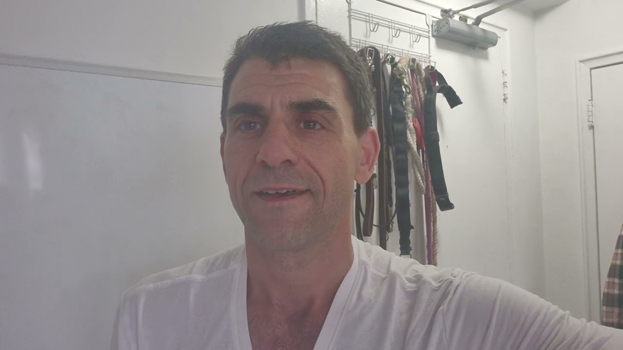 Can Animals Talk? // How Do Animals Talk