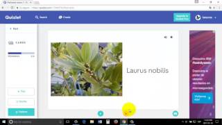 Joyessence - Quizlet Tutorial