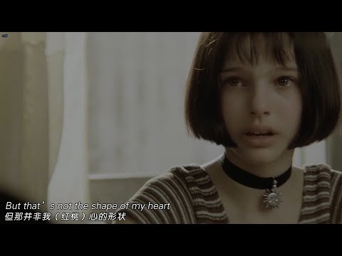 Shape Of My Heart - Sting 这个杀手不太冷 主题曲