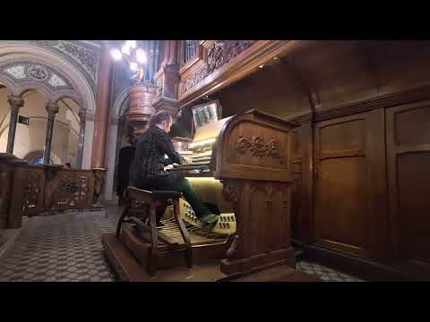 Chopin — Revolutionary Etude on organ