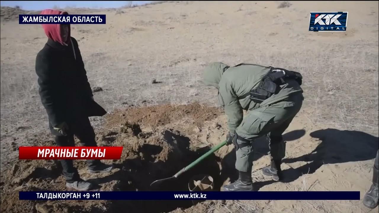 Авиационная опасность ярославль