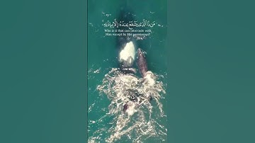 اللَّهُ لَا إِلَٰهَ إِلَّا هُوَ الْحَيُّ الْقَيُّومُ | آية الكرسي | سورة البقرة