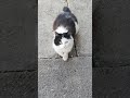 so cute