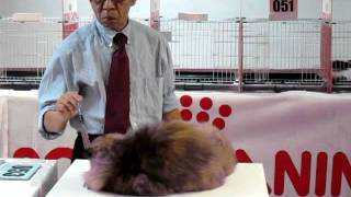 Gc Laisee Dj-Hope Magical Spirit Of Hoobee - Edward Maedas Ring 2 July 2011