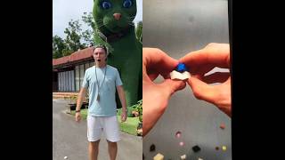 This cat is really alive! 🥰 #funny #cats #catvideos #tiktok #social #usafunny #catlovers #funpage Net Worth