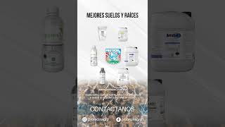 Mejora Tus Suelos Y Raíces Protecin