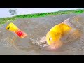 Real Hook Fishing Video Catching Fish By Hook Plastic Bottle in Beautiful Nature Work 100%