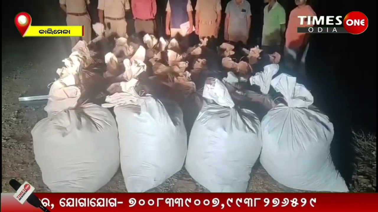 Malkangiri Kalimela Police Seize 1250 Kg Ganja in Major Anti-Drug Operation | Times one odia | crime