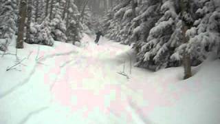 Wright Peak Ski Trail