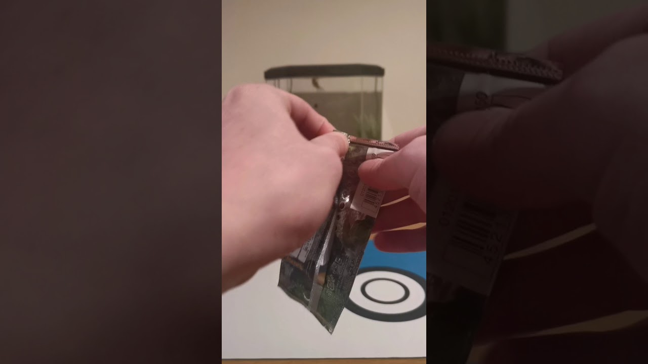 Japanese Pokemon TCG night unison pack