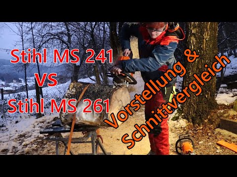 Stihl MS 261 VS Stihl MS 241 | Der Vergleich | HBNB-Motorsägen