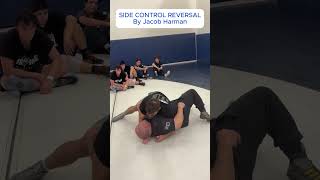 SIDE CONTROL REVERSAL (SWEEP)