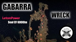 Gabarra Wreck With Letonpower Video Lights