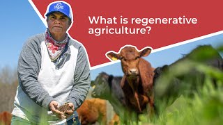 Why This Method Works Better Than Traditional Farming