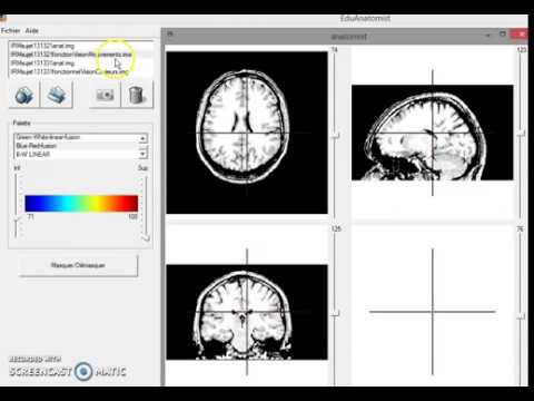 images eduanatomist