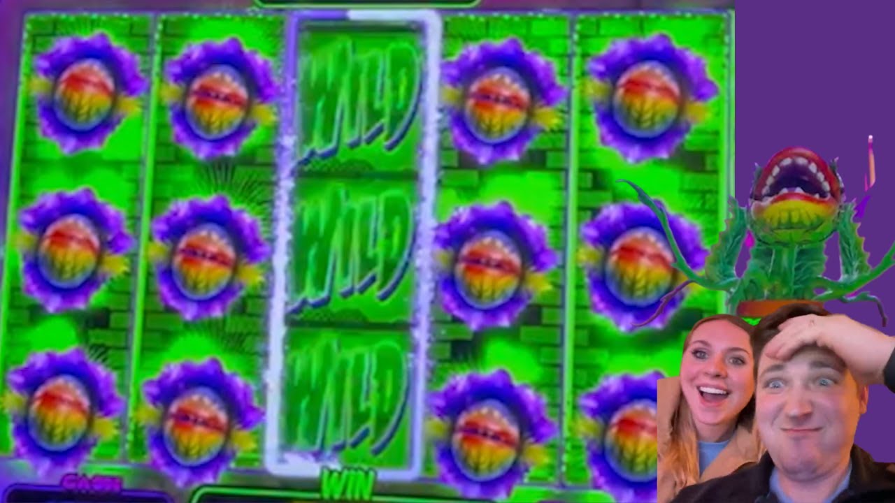 little-shop-of-horrors-fills-screen-also-3x3x3x-on-treasureshot