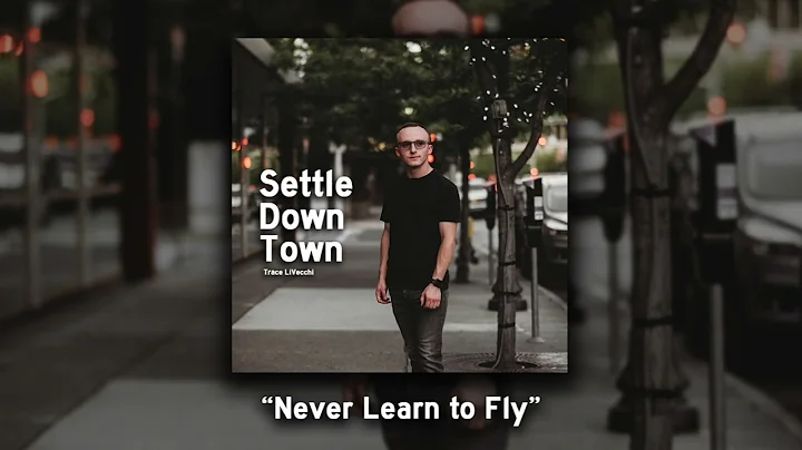 Never Learn to Fly (Audio)