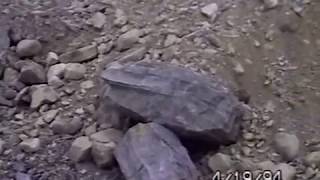 RDMVTL 1129 ~ 4/19/1994 CORNING BYPASS UPDATE @ RIVERSIDE , NY