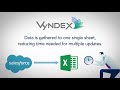Introduction to vyndex
