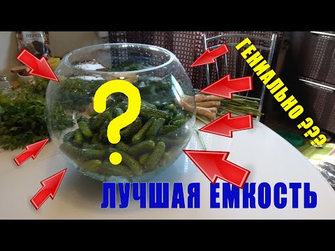 КВАШЕНЫЕ ОГУРЦЫ В