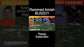 UPDATE: Woman Charged With Intentionally Ramming Amish Buggy!
